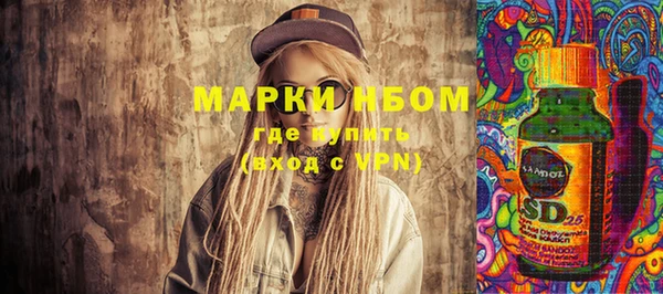 индика Володарск