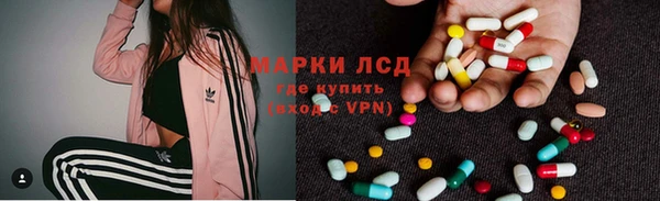 индика Володарск