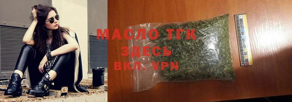 индика Володарск
