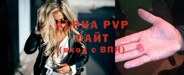 индика Володарск