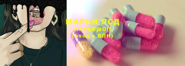 индика Володарск