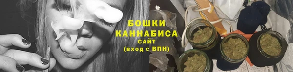 индика Володарск