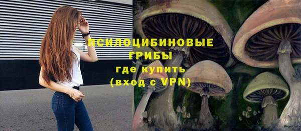 индика Володарск
