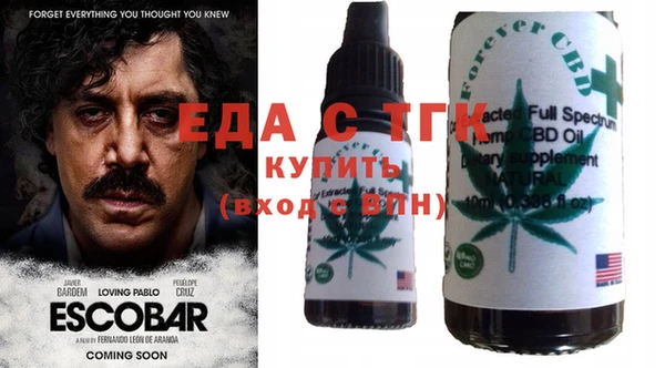 индика Володарск