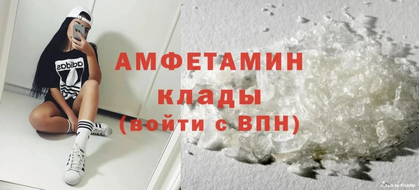 индика Володарск
