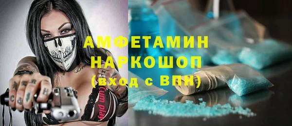 индика Володарск