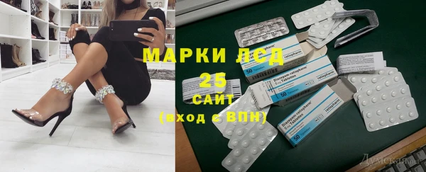 индика Володарск
